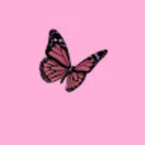 Meet your Posher, Solara